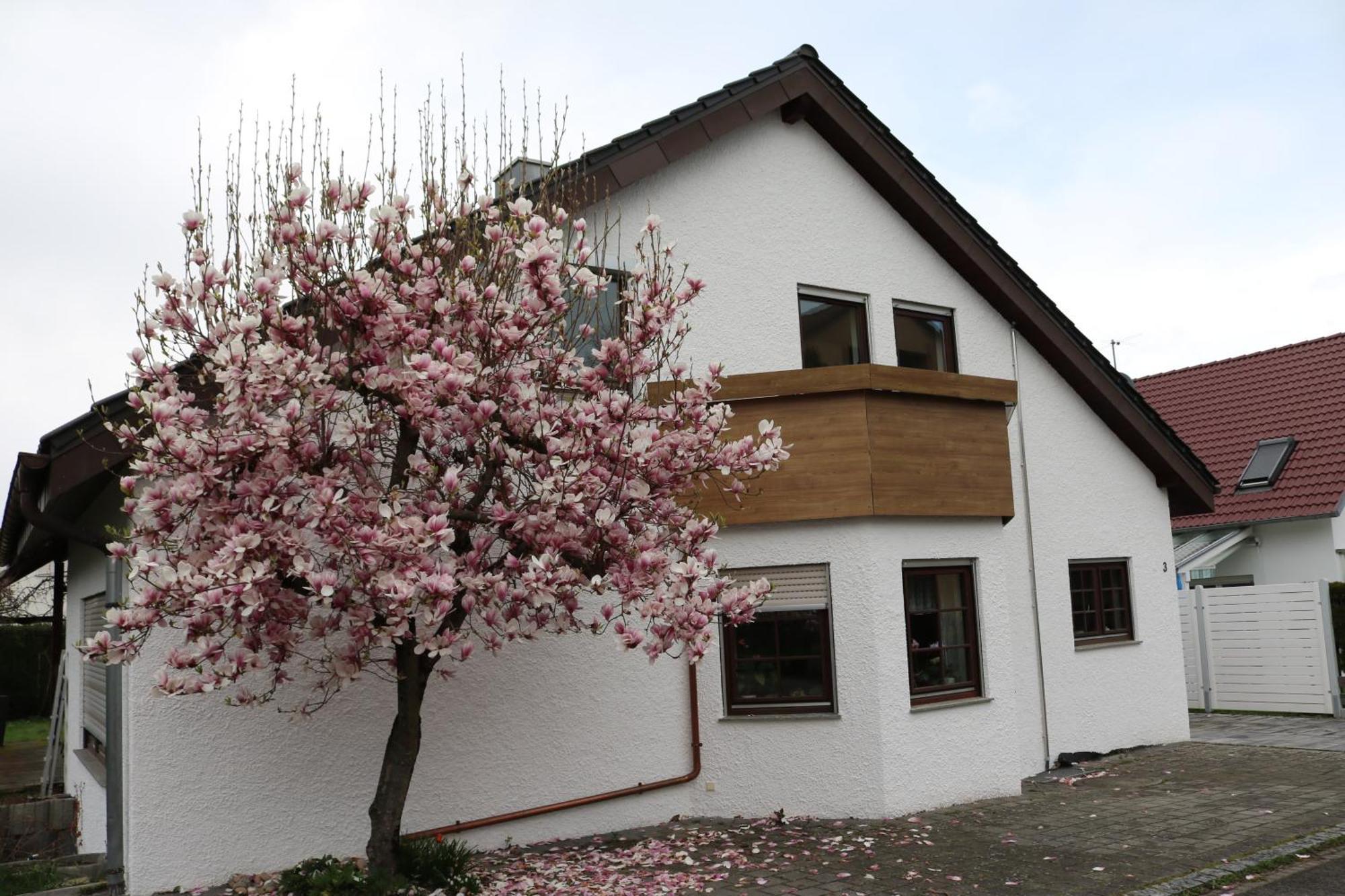 Ferienwohnung In Bempflingen מראה חיצוני תמונה